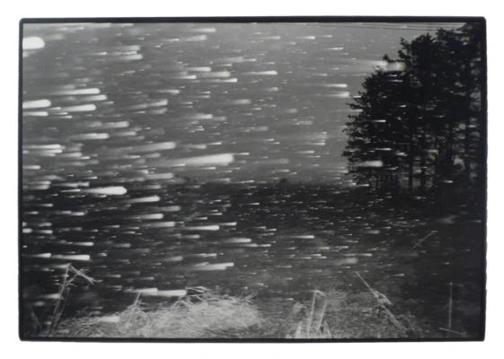 Foto: Masahisa Fukase