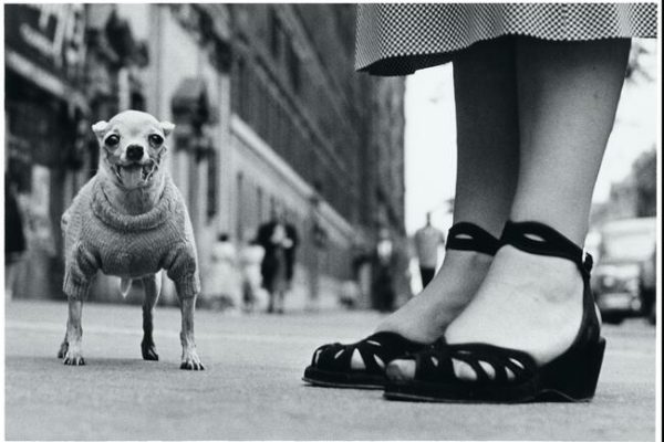 01_new_york_city_usa_1946_c_elliott_erwitt_magnum_photos_