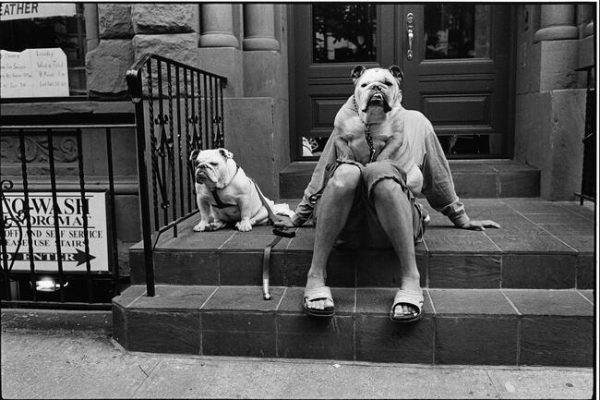 09_new_york_city_usa_2000_c_elliott_erwitt_magnum_photos_