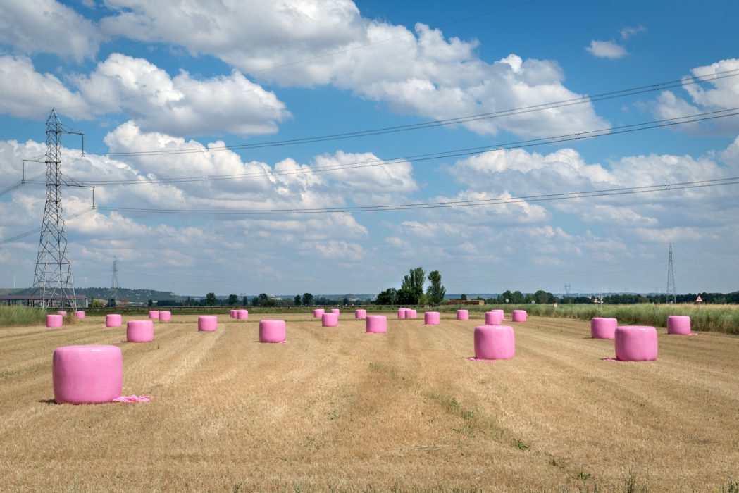 Ensilado en bolas en parcela de cultivo. Cascón de la Nava (Palencia). 2018.  © Ana Amado y Andrés Patiño