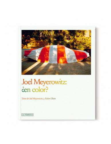 joel-meyerowitz-en-color